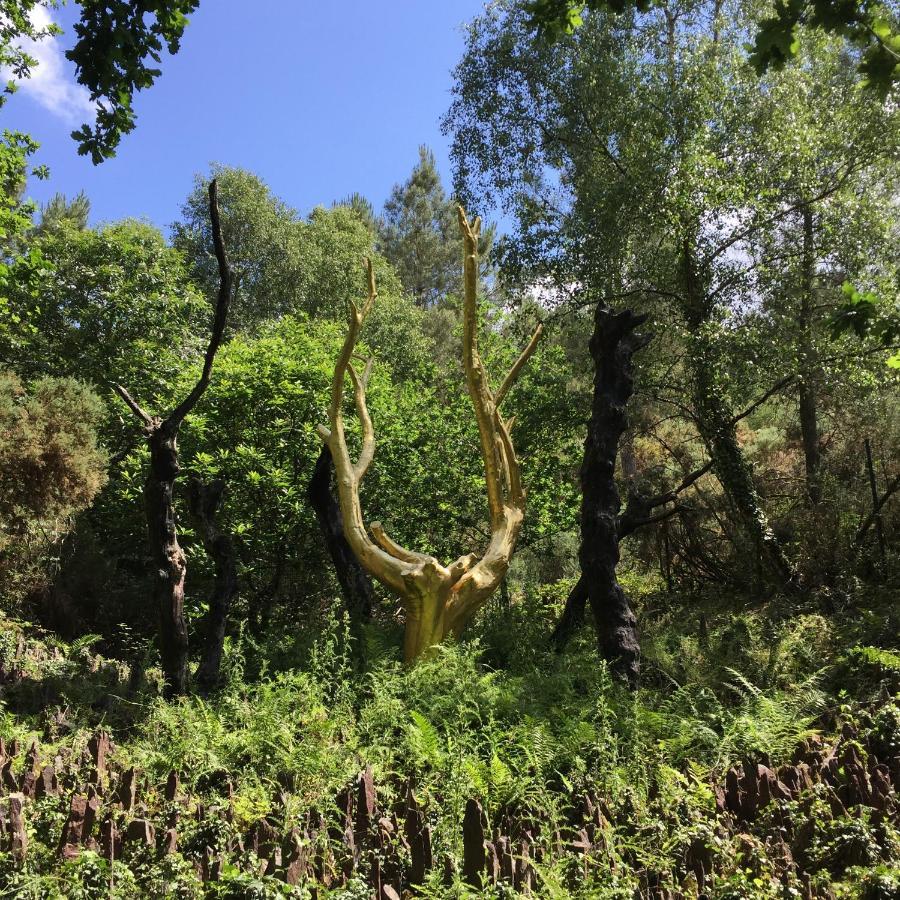L'Hotie De Broceliande, Au Coeur Des Sites Naturels Et Legendaires แปงปง ภายนอก รูปภาพ