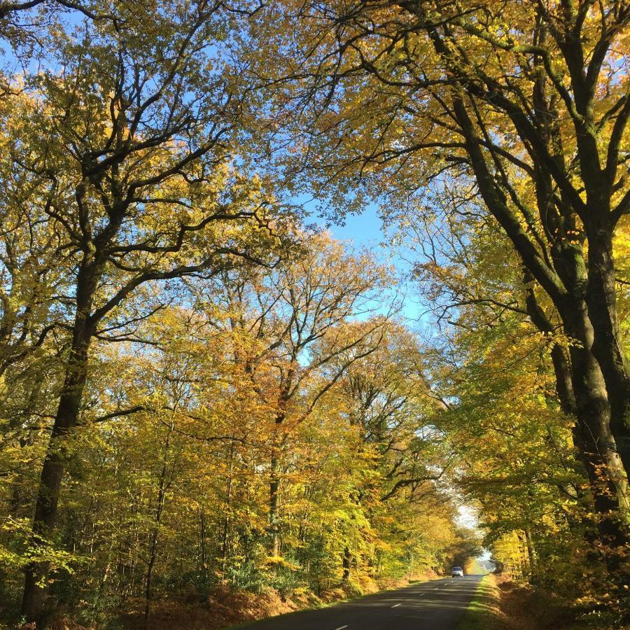 L'Hotie De Broceliande, Au Coeur Des Sites Naturels Et Legendaires แปงปง ภายนอก รูปภาพ
