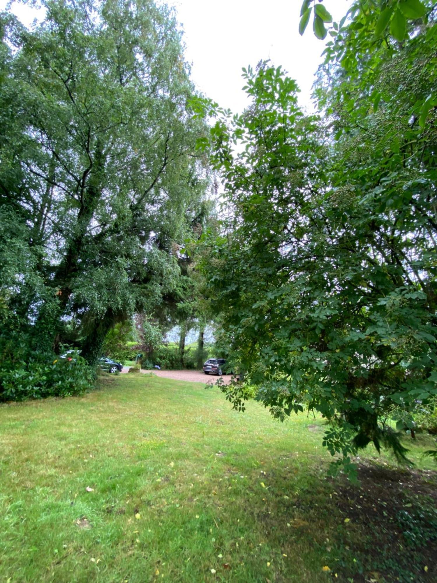 L'Hotie De Broceliande, Au Coeur Des Sites Naturels Et Legendaires แปงปง ภายนอก รูปภาพ