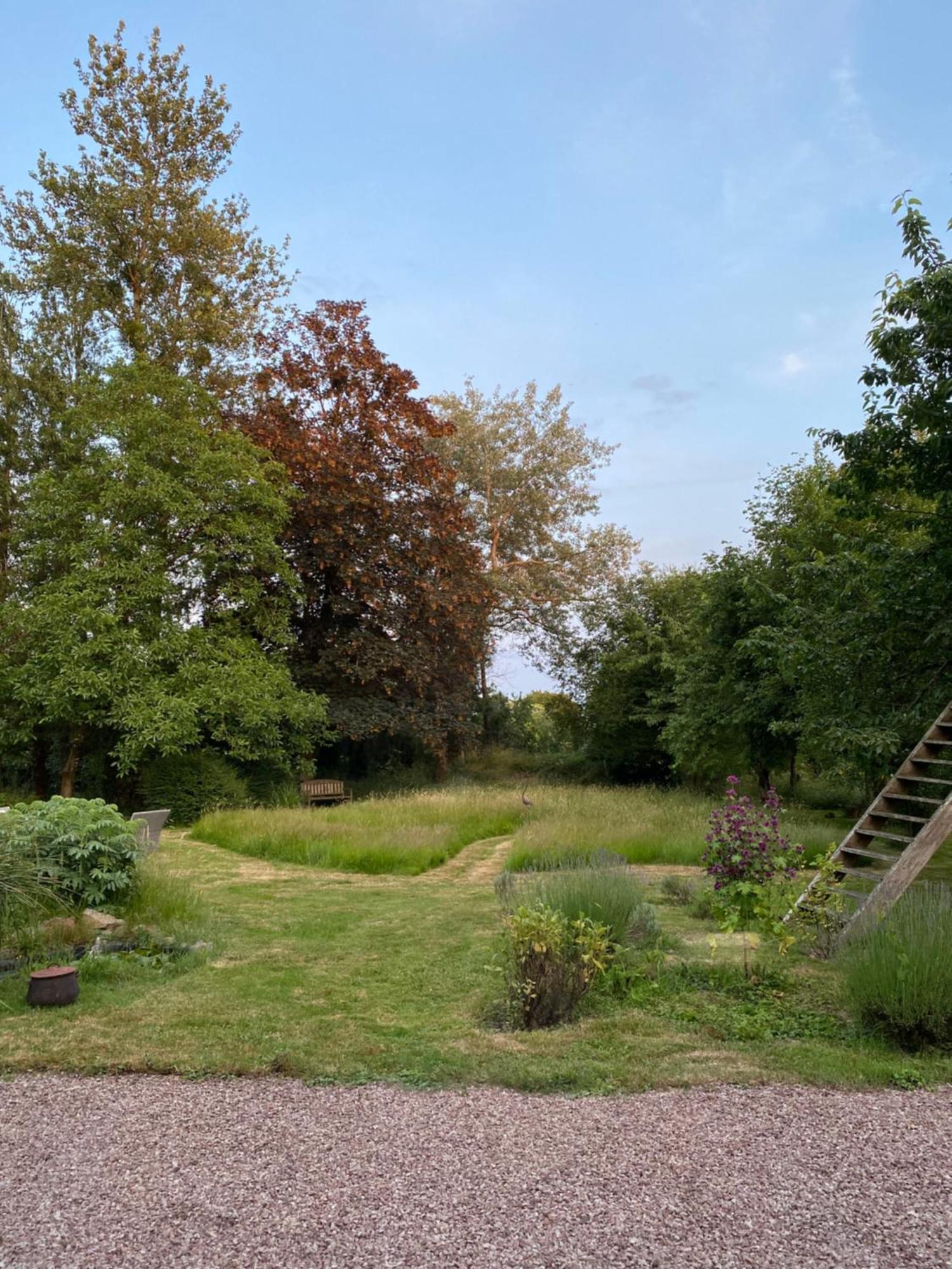 L'Hotie De Broceliande, Au Coeur Des Sites Naturels Et Legendaires แปงปง ภายนอก รูปภาพ