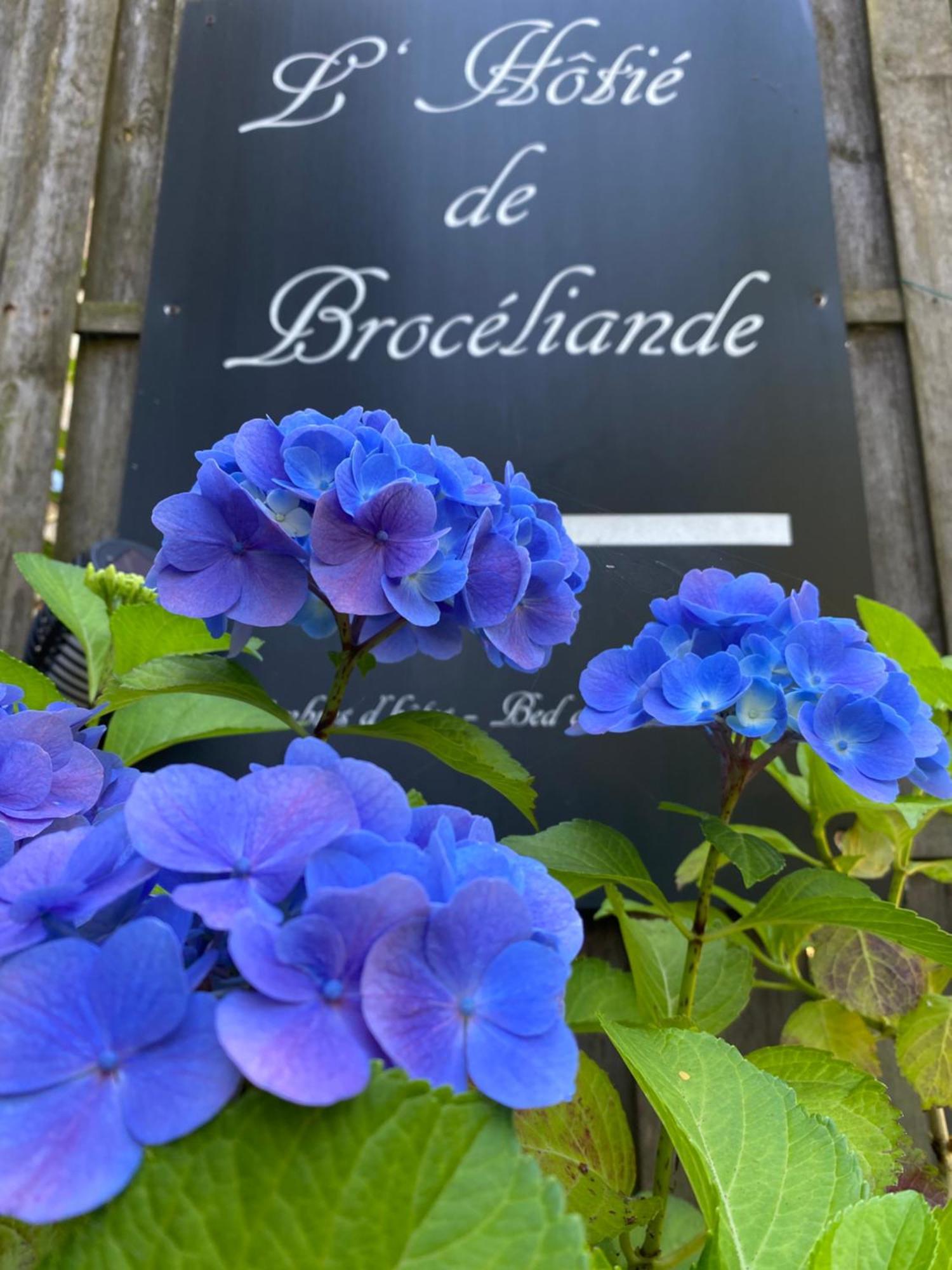 L'Hotie De Broceliande, Au Coeur Des Sites Naturels Et Legendaires แปงปง ภายนอก รูปภาพ