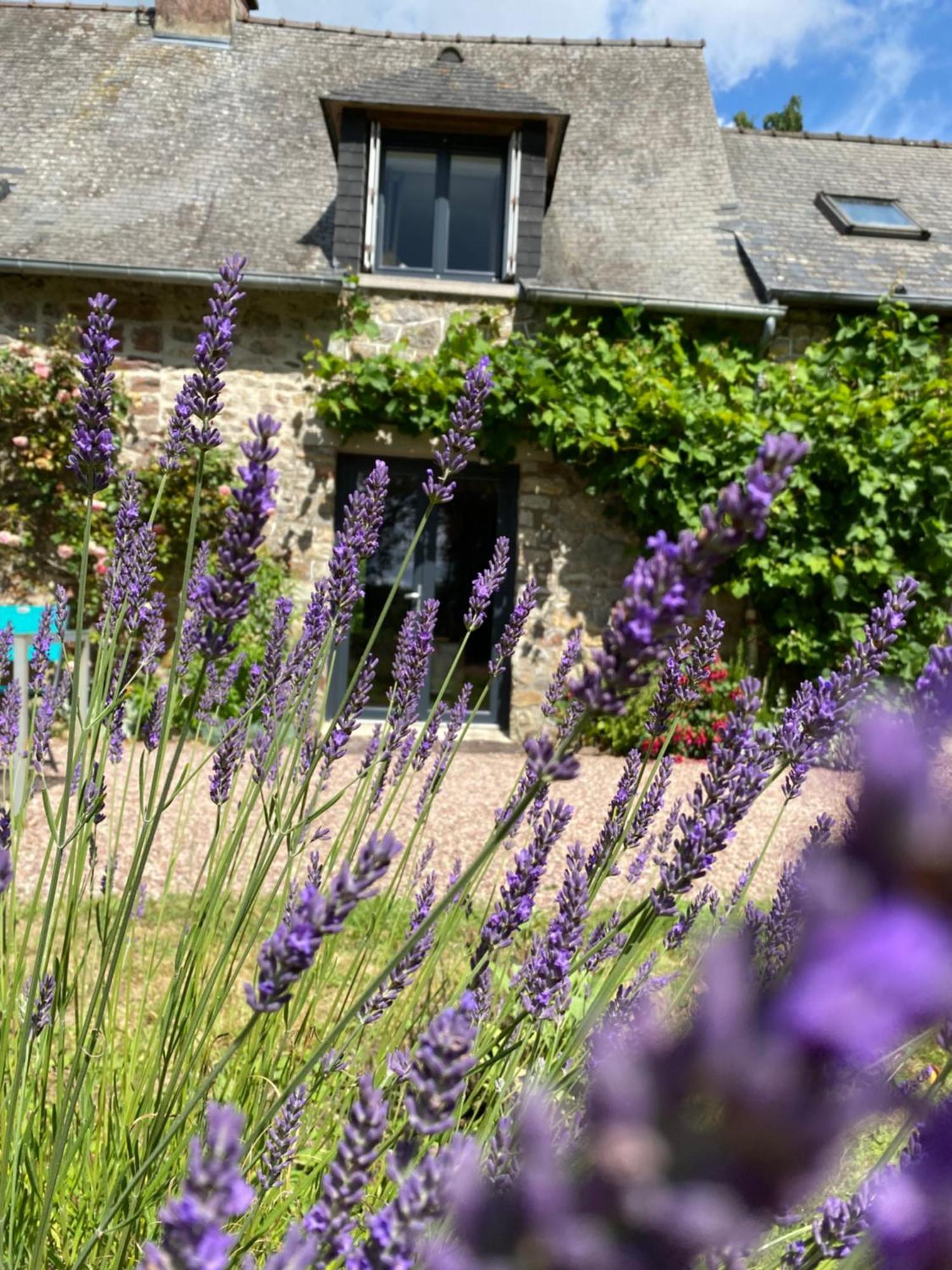 L'Hotie De Broceliande, Au Coeur Des Sites Naturels Et Legendaires แปงปง ภายนอก รูปภาพ