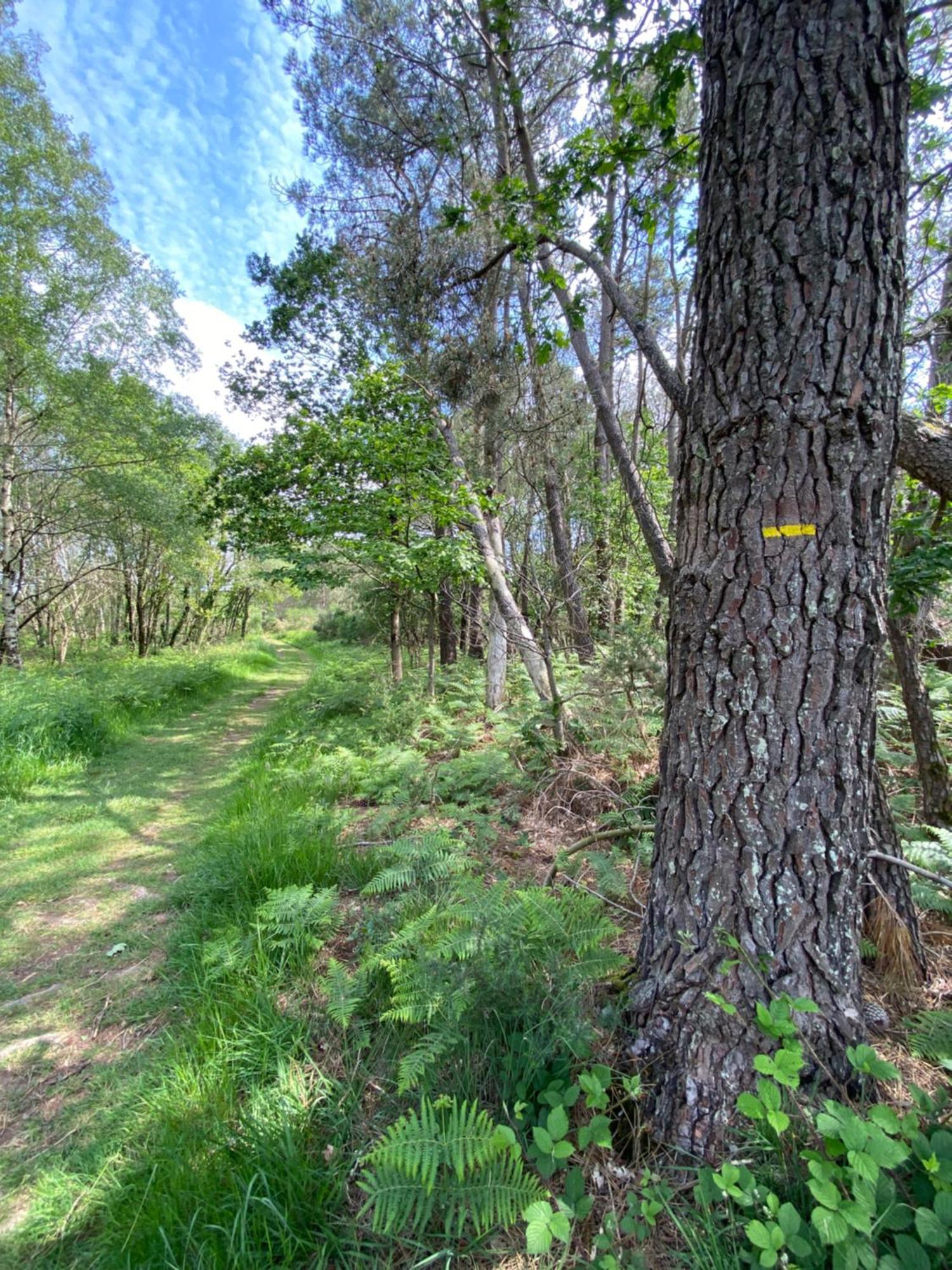 L'Hotie De Broceliande, Au Coeur Des Sites Naturels Et Legendaires แปงปง ภายนอก รูปภาพ