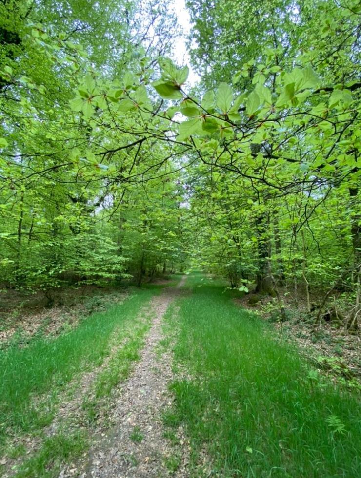 L'Hotie De Broceliande, Au Coeur Des Sites Naturels Et Legendaires แปงปง ภายนอก รูปภาพ